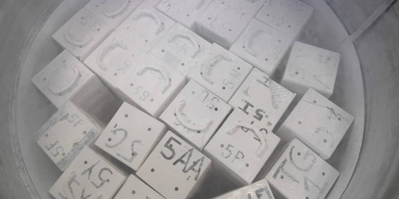 Sarepta stock hit by renewed uncertainty about rare disease drug