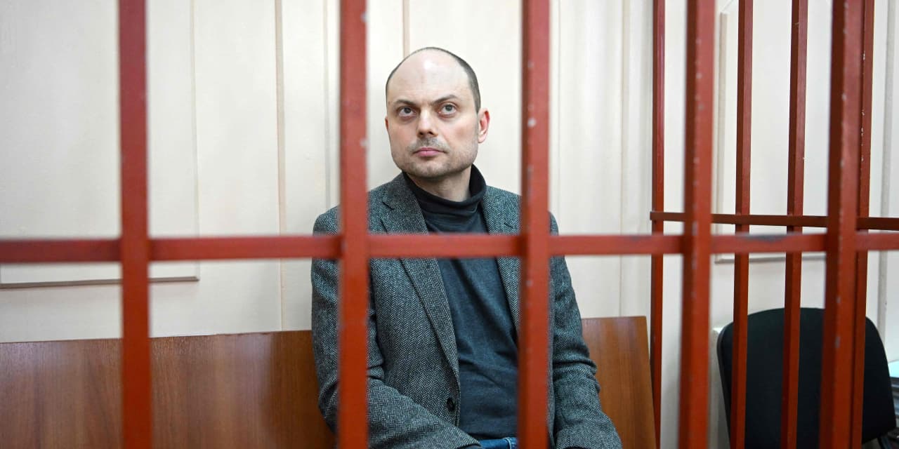 Russia sentences activist critical of Ukraine war to 25-year prison term