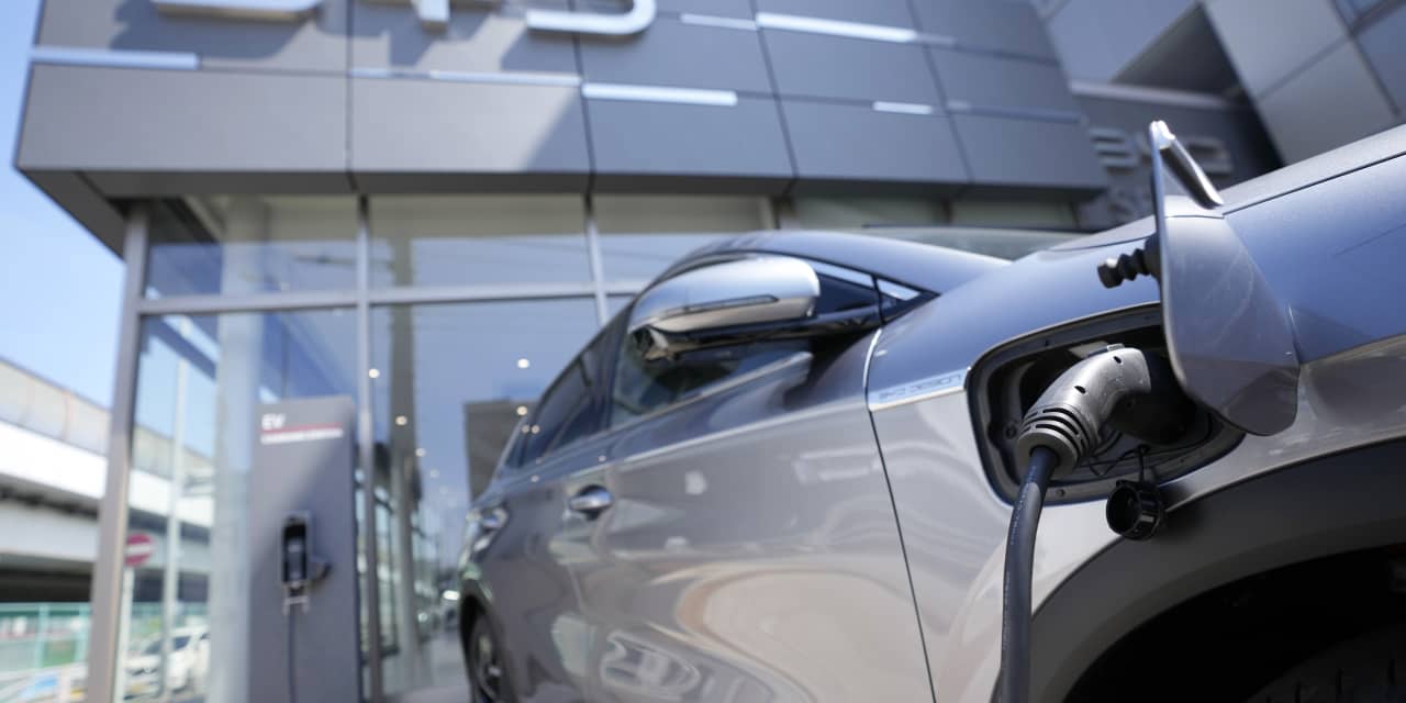 ‘Serious competition’ as Chinese EV brands expand to global markets