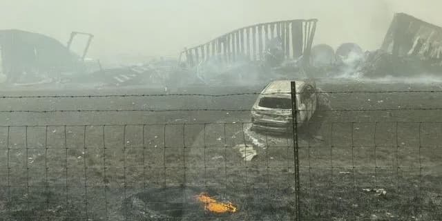 Interstate 55 stretch in downstate Illinois reopens after 70 vehicles ...