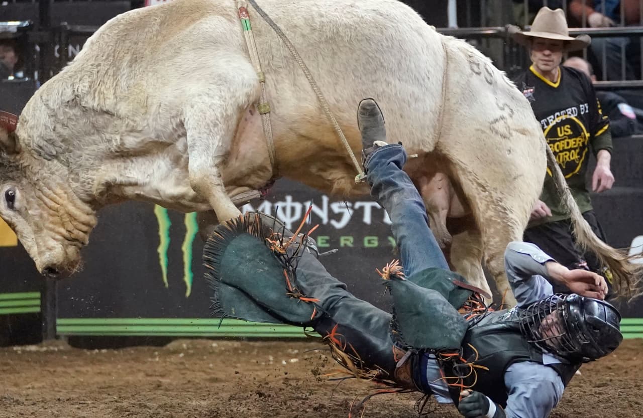 Meet the cowboys bringing bull riding — and 750 tons of dirt — to a city  near you - MarketWatch