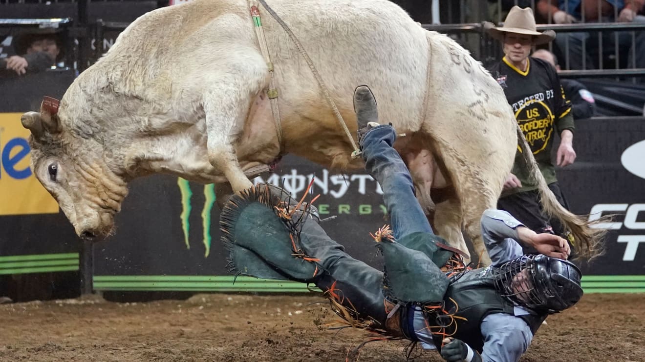 Meet the cowboys bringing bull riding and 750 tons of dirt to a city