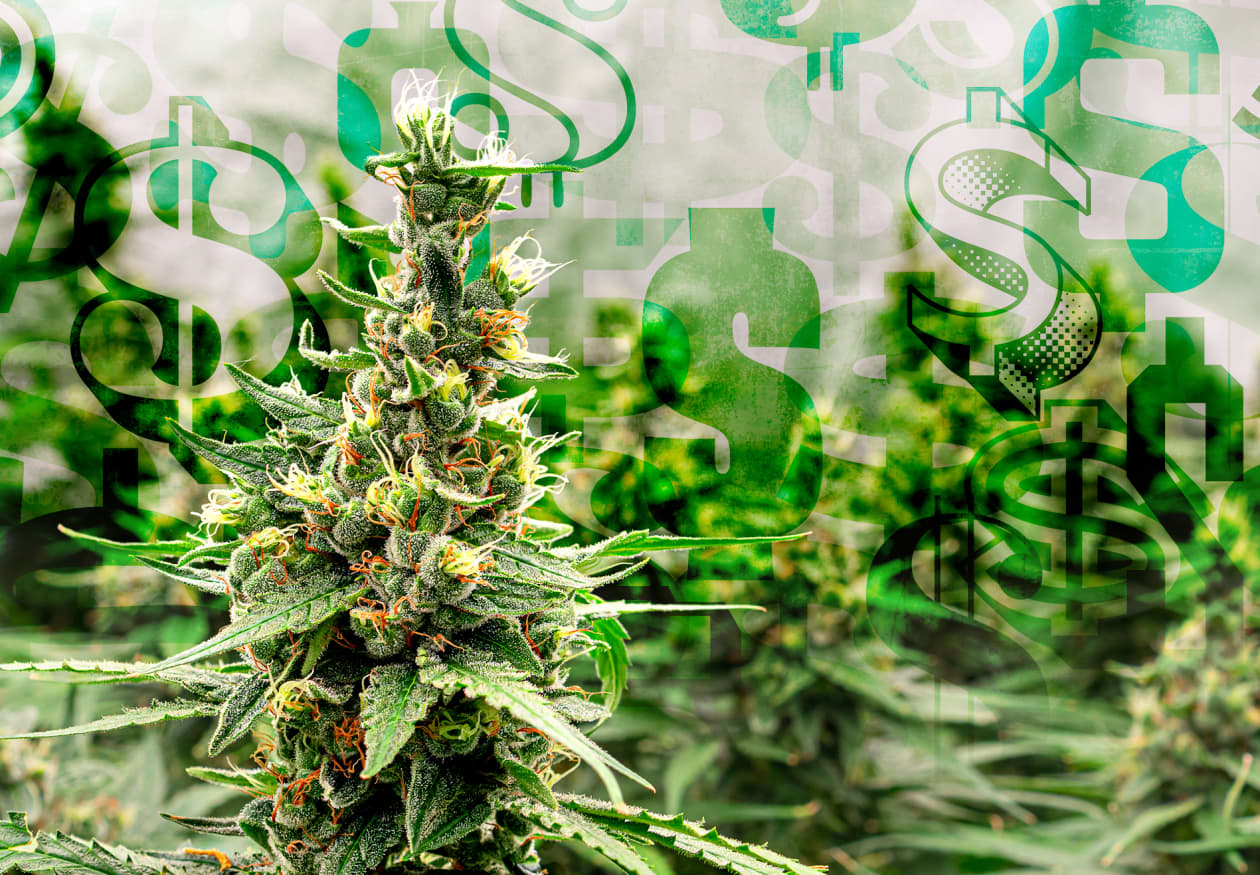 Hemp-based THC revenue may make cannabis stocks more appealing—but there  are risks - MarketWatch