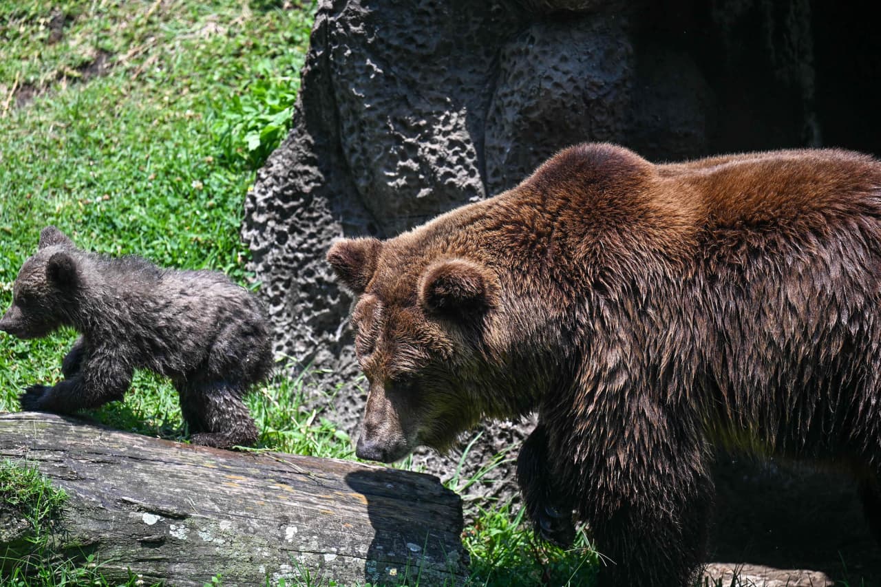 Stock-market pessimism is climbing. Why it's still not bad enough to imply stocks hit a bottom.