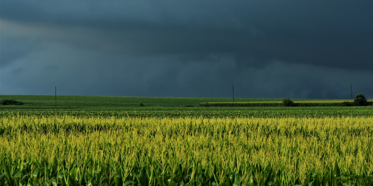 Stay bullish on stocks, bearish on commodities as deflation clouds gather, says this quant strategy