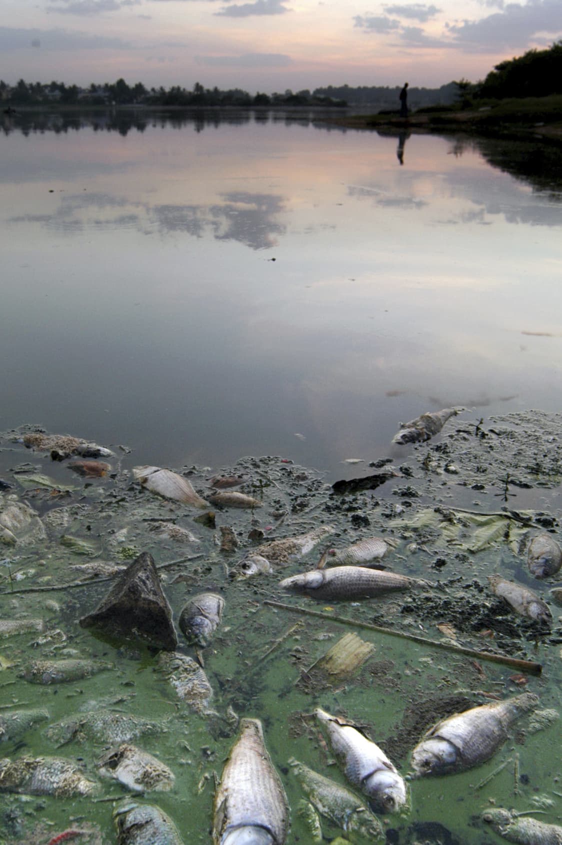 Загрязнение воды. Загрязнение водоемов. Экология воды. Загрязненная вода.