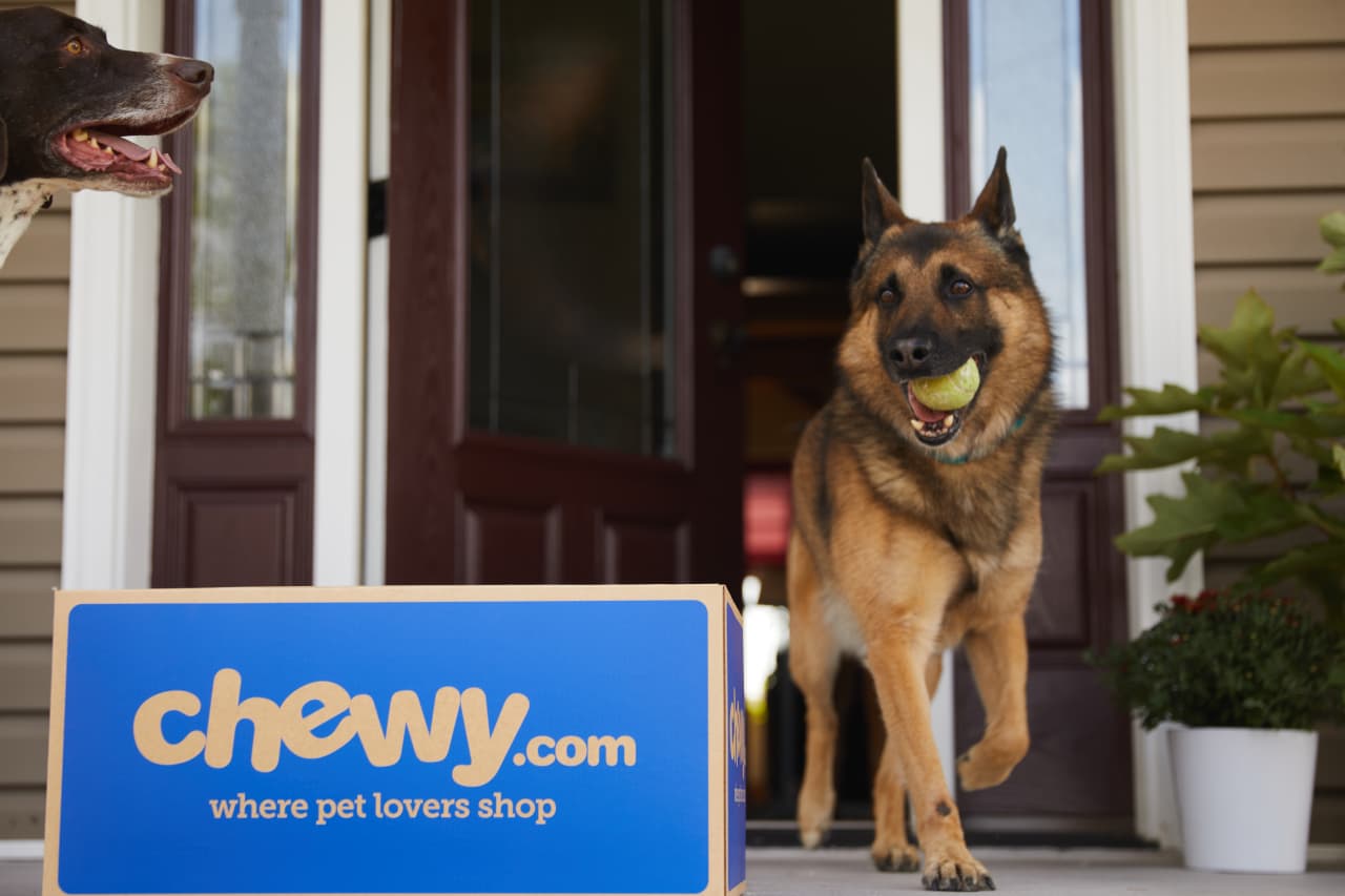 Chewy's stock slides one day after Roaring Kitty's cryptic dog post