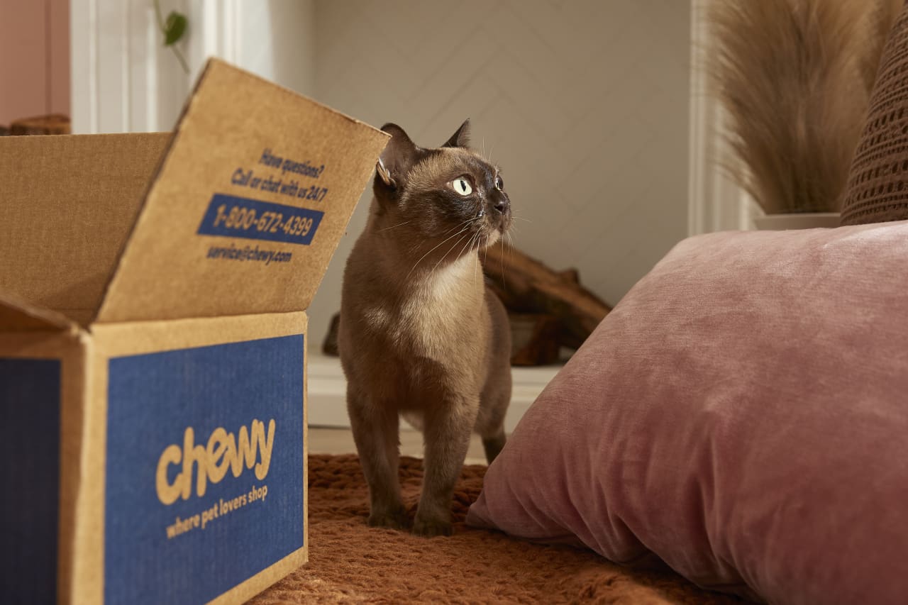 Chewy’s stock reverses early gains after Roaring Kitty’s 6.6% stake is disclosed