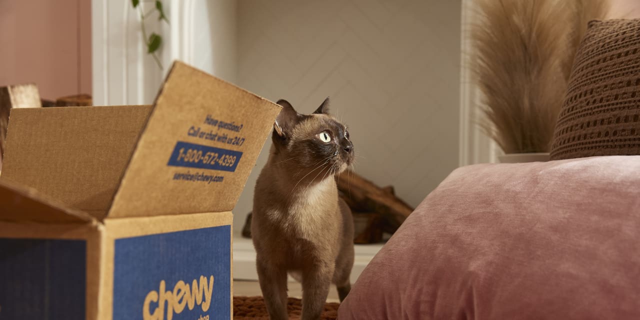 Chewy’s stock falls after SEC filing reveals that trader Keith Gill has ...