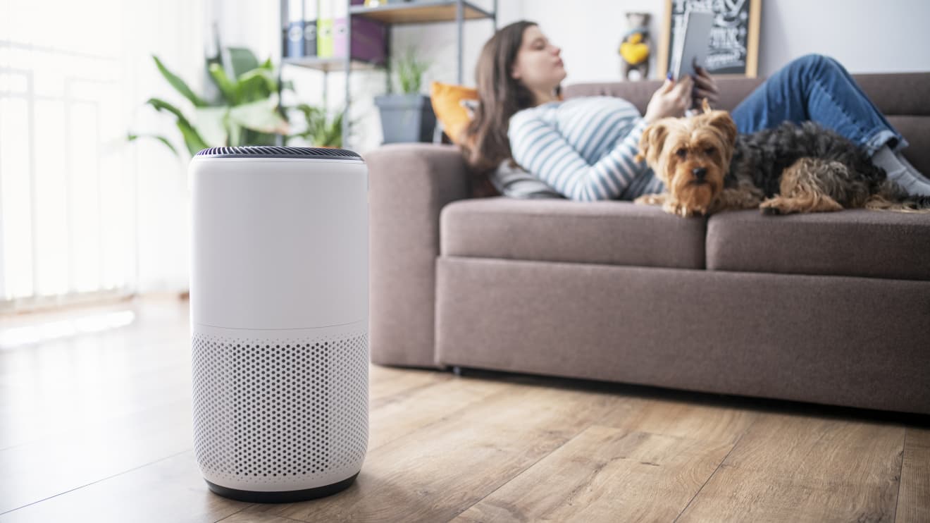 Do smoky skies have you shopping for an air purifier? 5 things to know before you buy one