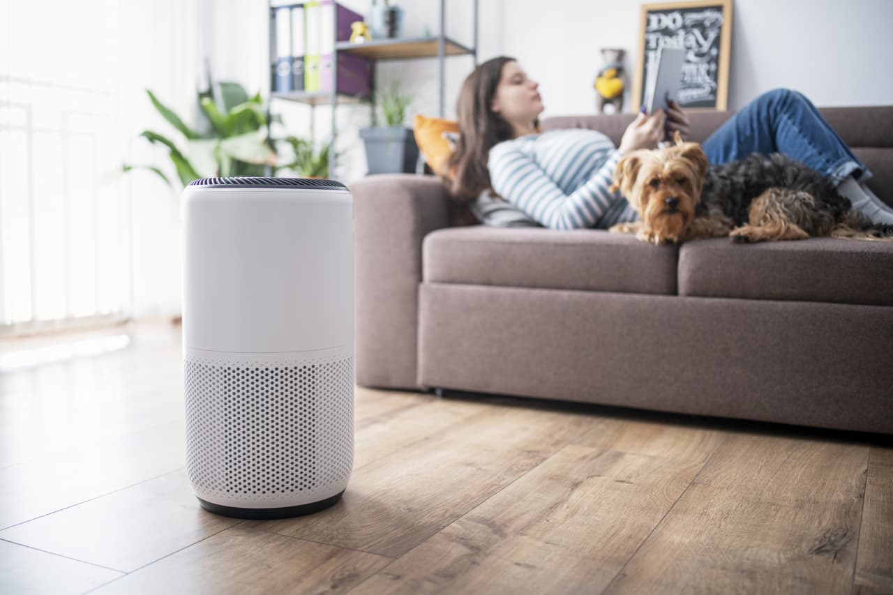 Air purifier decibel deals ratings