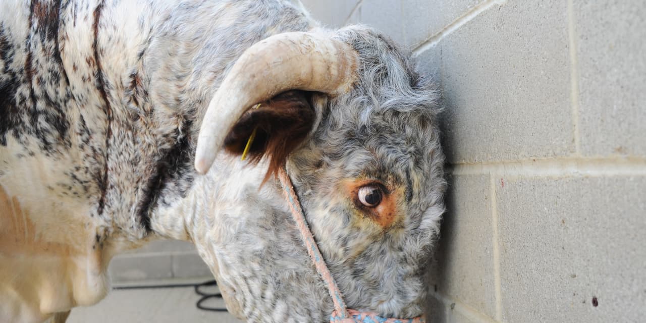 Goldman pushes back against bears like Morgan Stanley with 4500 SP 500 target  MarketWatch