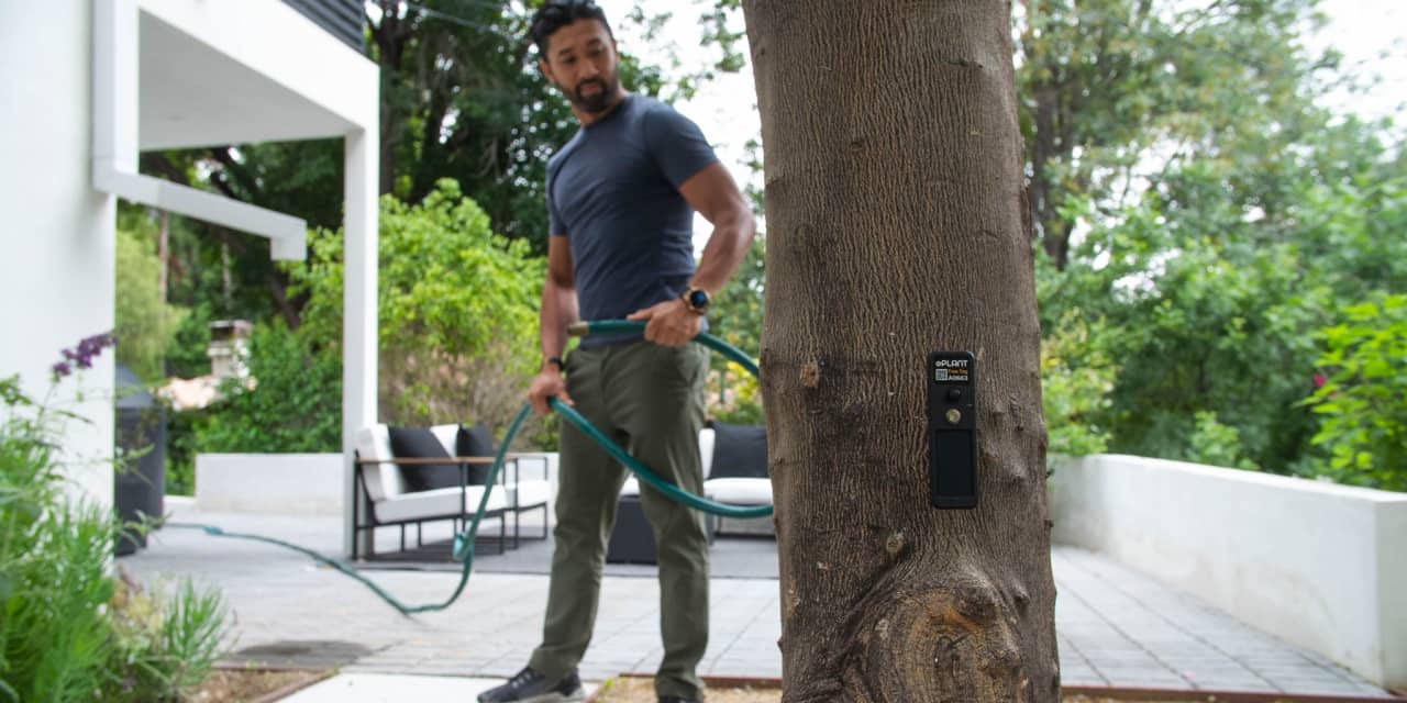 This ‘Fitbit’ for tree health saves homeowners money and helps fight ...