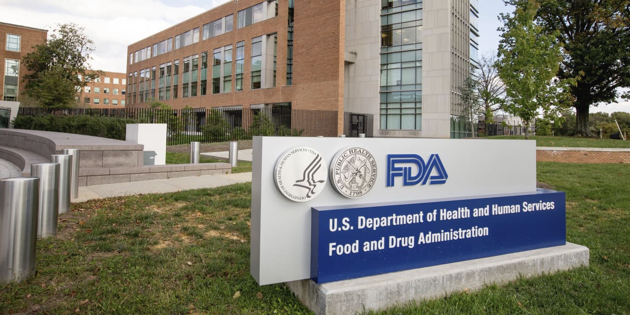 FDA warns stores to stop selling Elf Bar, the top disposable e-cigarette in U.S. - Vimarsana News