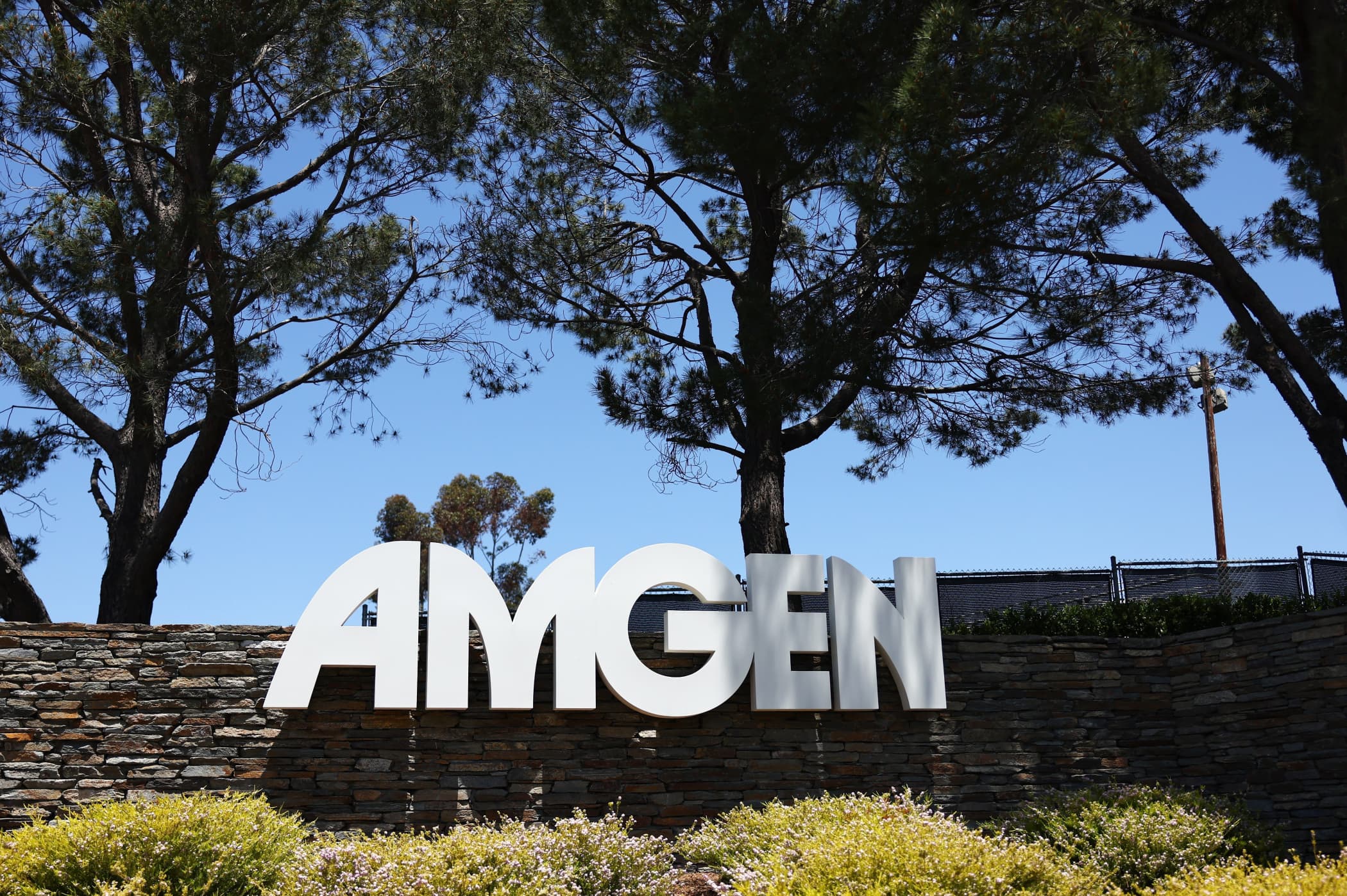 Amgen’s stock hit by expectations its obesity pipeline is facing a longer wait
