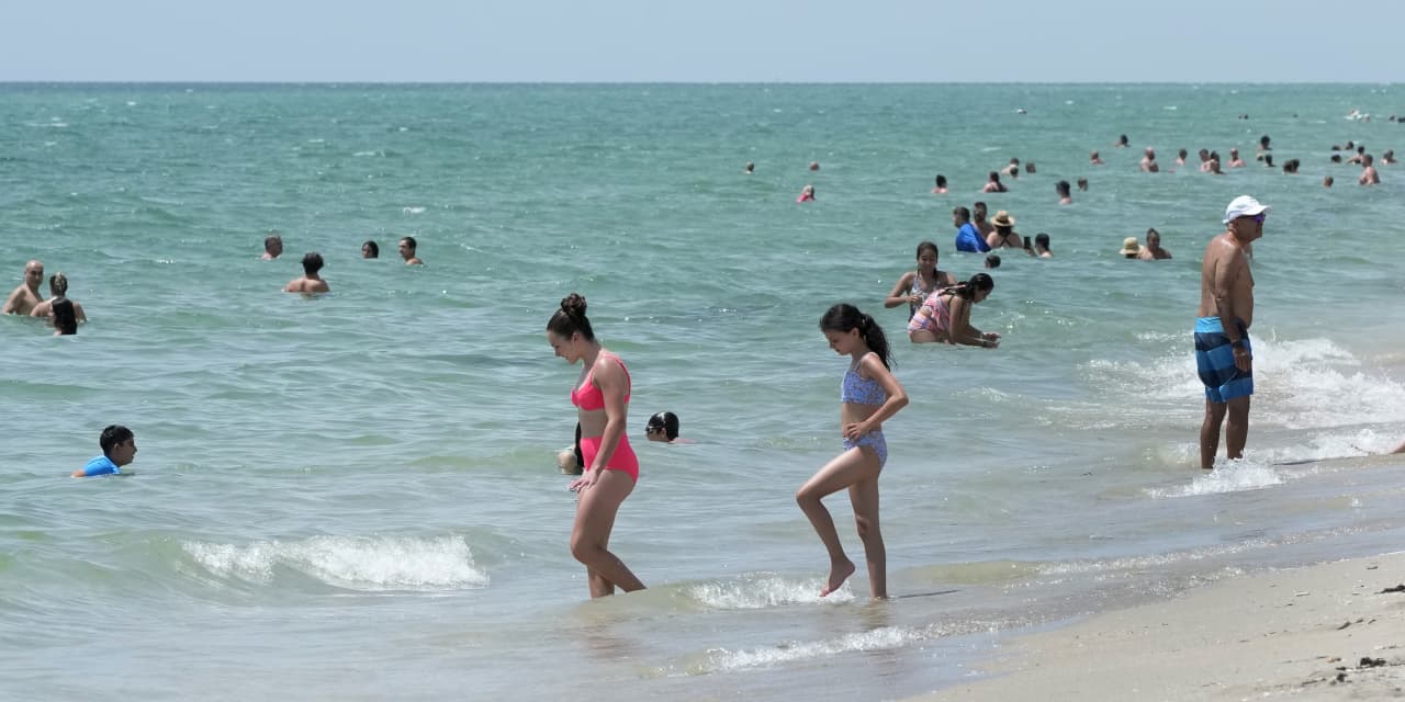 Waters off Florida are unusually warm -- that's bad for humans and coral alike - Vimarsana News