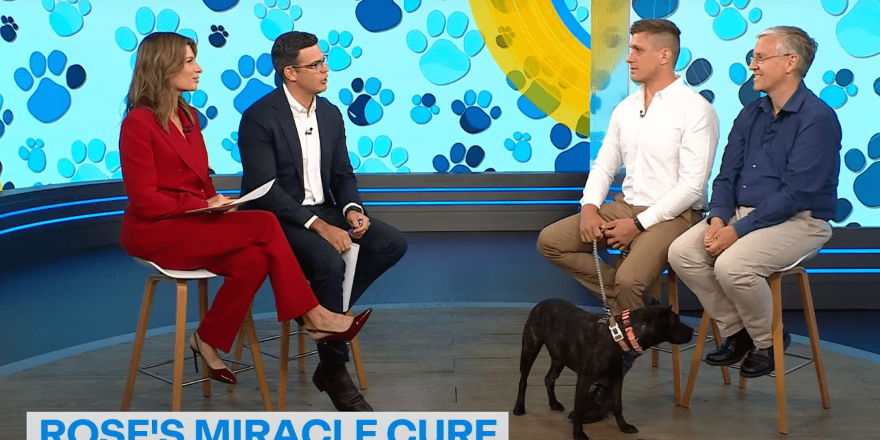 A man used ChatGPT to cure his dog. Here are the stocks for the new age of programmable medicine. - MarketWatch