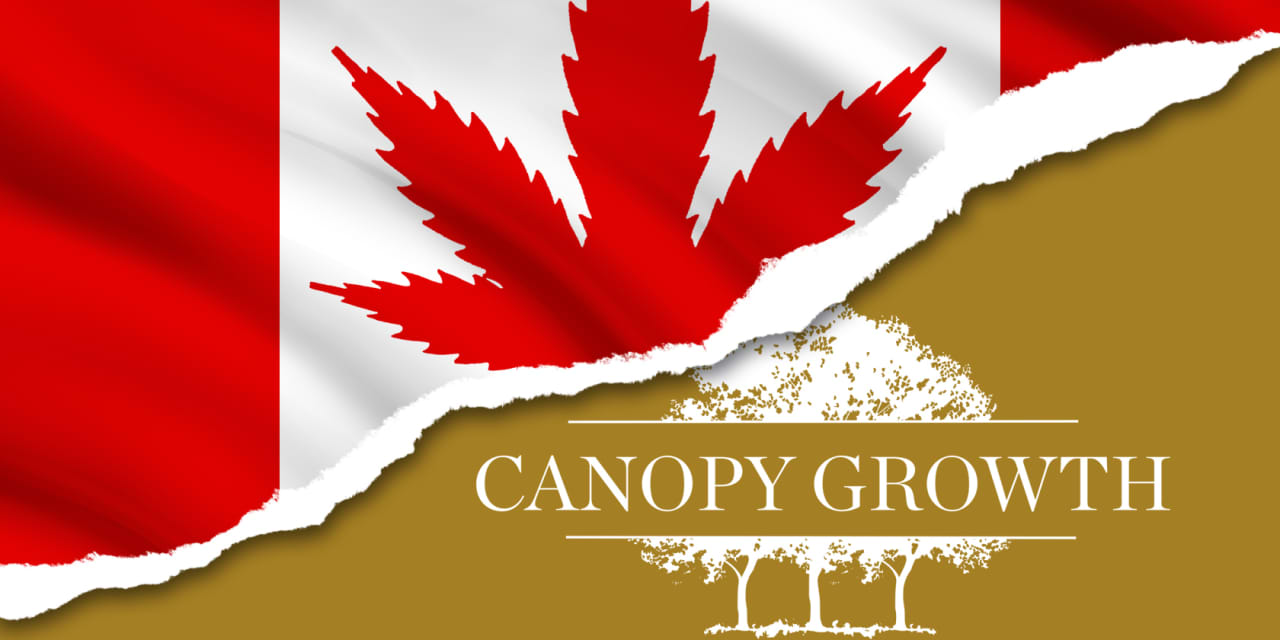 Canopy Growth loses billions as dream of pot riches runs into reality of oversupply and overspending - Vimarsana News