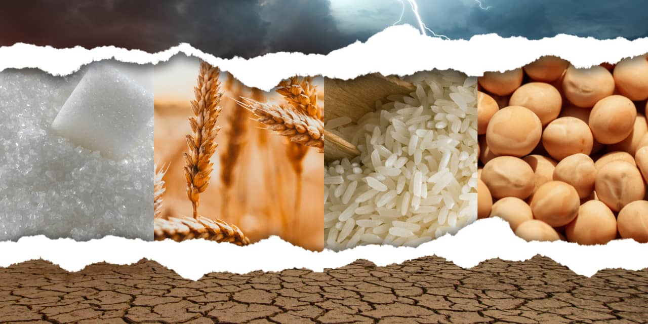 Why traders should brace for El Niño's effects on weather and commodities around the world - Vimarsana News