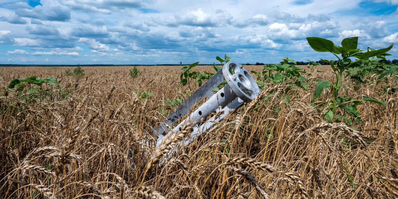 Why Russia's decision to halt grain deal is stirring global inflation worries - Vimarsana News