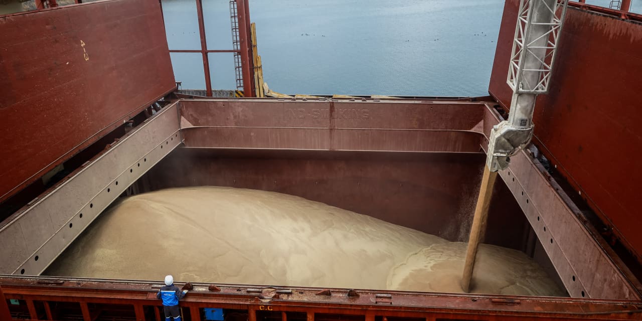 Here are the commodities that bucked the week's downtrend in the sector - Vimarsana News