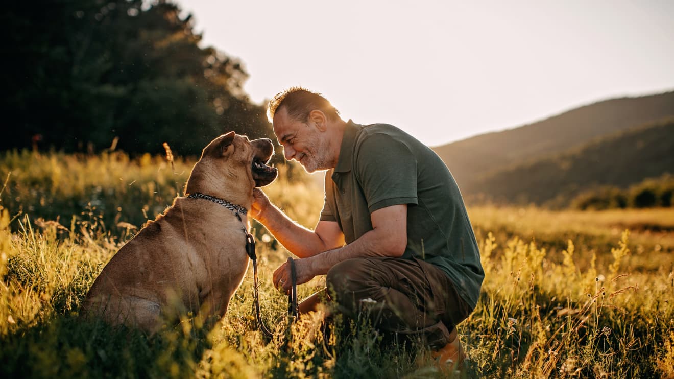 Pets may be an answer to our loneliness problem; when to ignore the big money on Wall Street; and what to do with your 401(k) when you retire