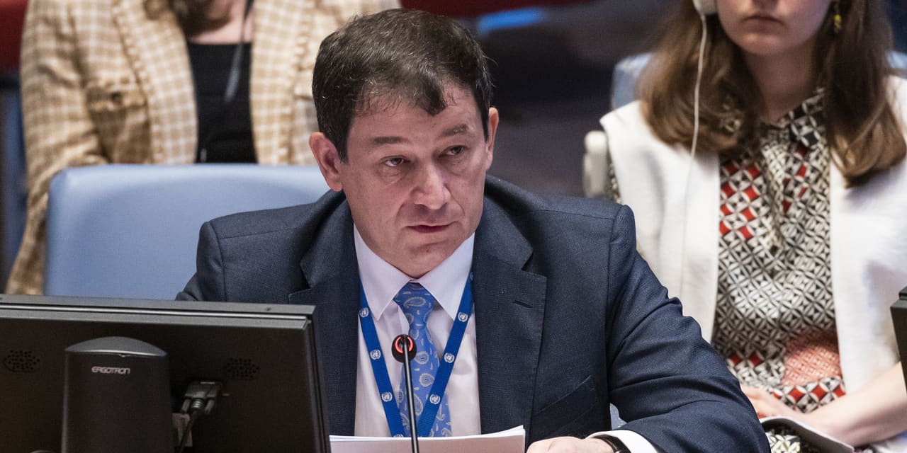 Russia pressured to avoid global food crisis, revive Ukrainian grain shipments - Vimarsana News