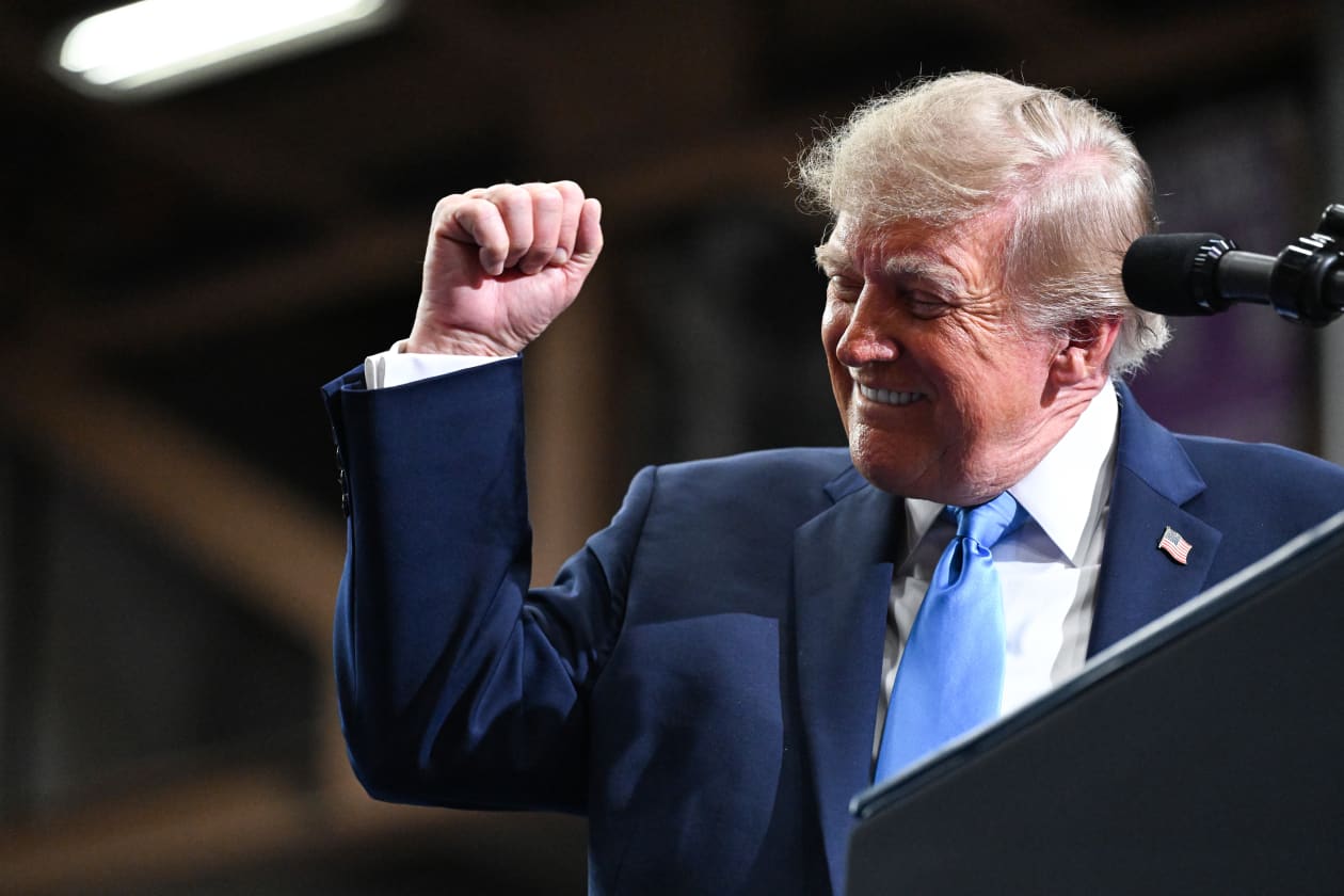 Donald Trump smiles and raises a fist while speaking at a rally.