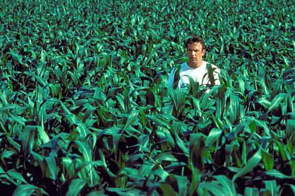 Is This Heaven? No It's Iowa - field of dreams - Is This Heaven