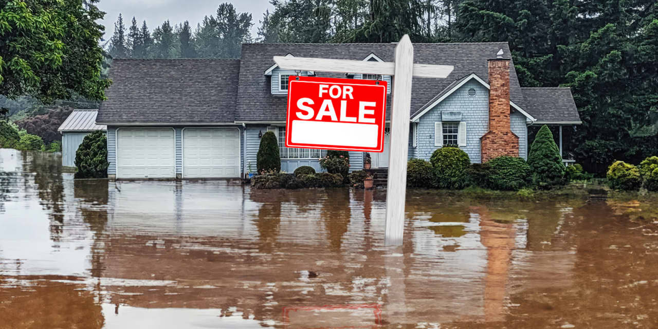 The Human Cost: ‘It was so traumatic to see the destruction’: More Americans are moving to flood-prone areas. Why do they defy the warnings? thumbnail