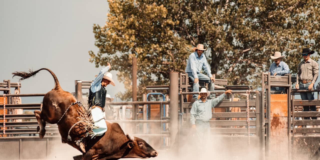 The bull market got a new lease on life — can it last?