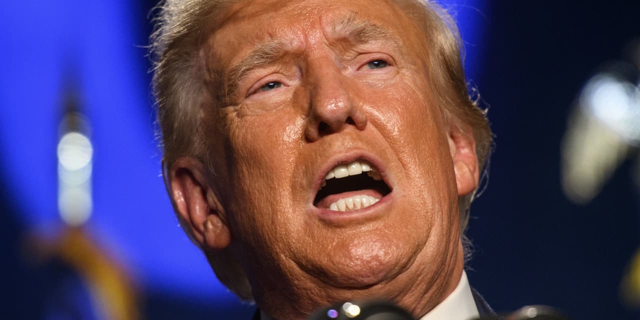 Trump doubles down on call for 'simple but powerful tariff' that has been slammed by economists - Vimarsana News