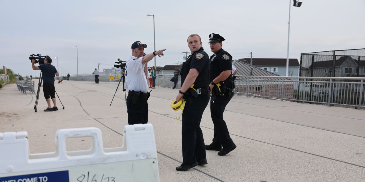New York City shark bite critically injures Rockaway Beach swimmer - Vimarsana News
