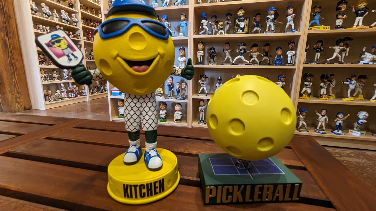 It's National Pickleball Day, but has the sport jumped the commercial shark? - Vimarsana News