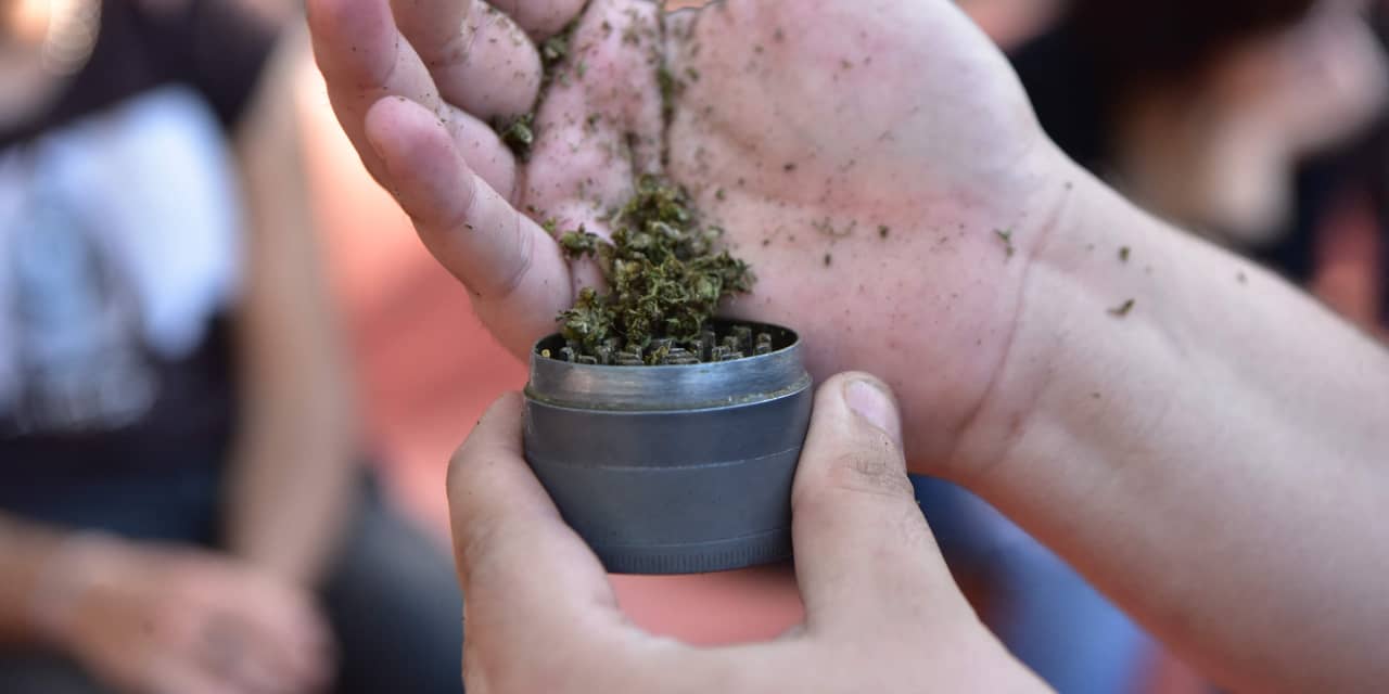 Cannabis company Trulieve weighing options after ex-CFO allegedly charged company up to $400,000 for 'personal expenses' - Vimarsana News