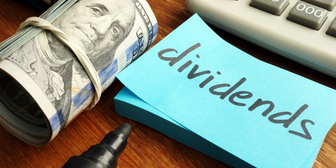 Opinion: These unsung stock market heroes offer 9 favorite picks for 2024 - Vimarsana News