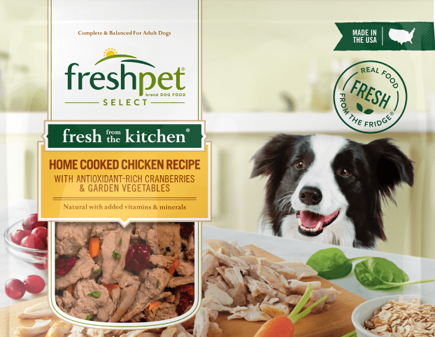 Freshpet’s stock jumps toward a multiyear high after an unexpected quarterly profit