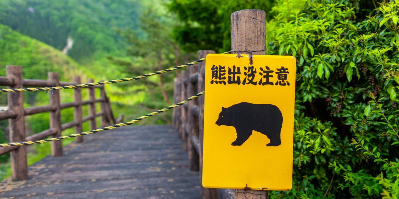 Former hedge fund star says this is what will trigger the next bear market. - Vimarsana News