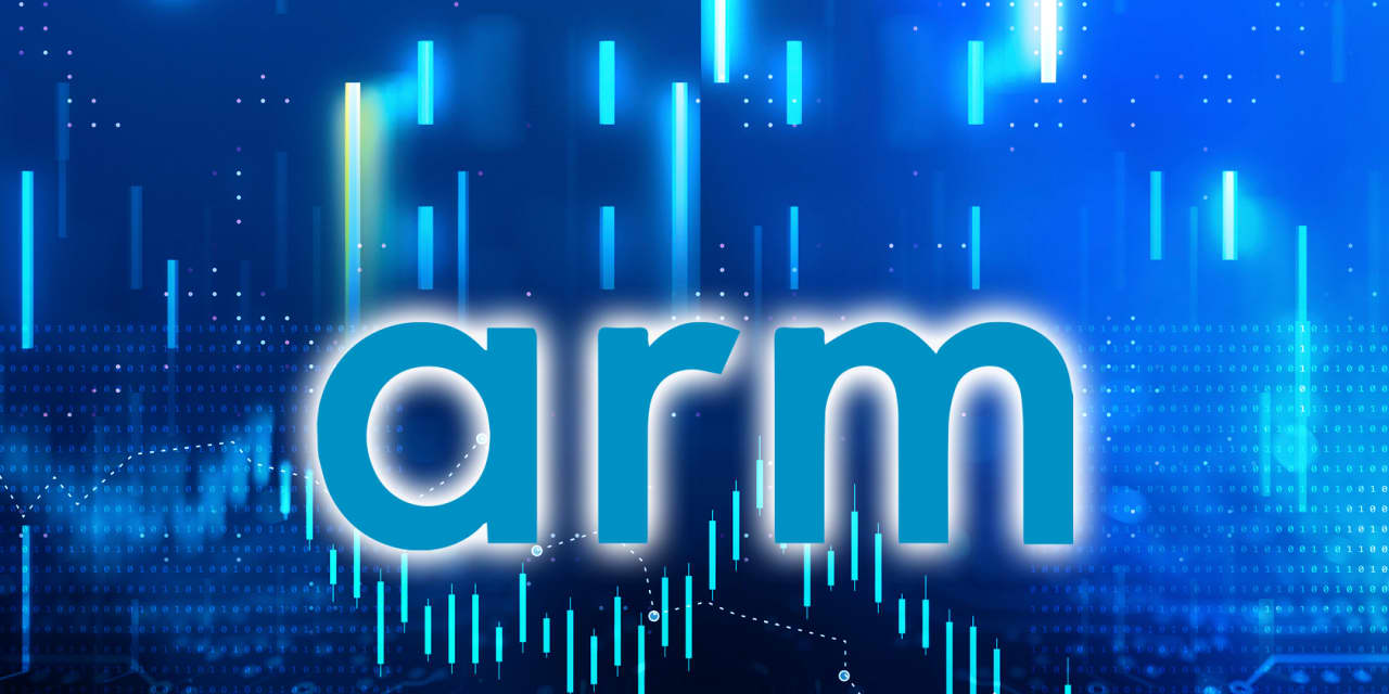 Investors should avoid Arm IPO, New Constructs says - Vimarsana News