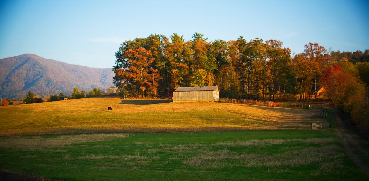 Discover Appalachian Culture in Great Smoky Mountains