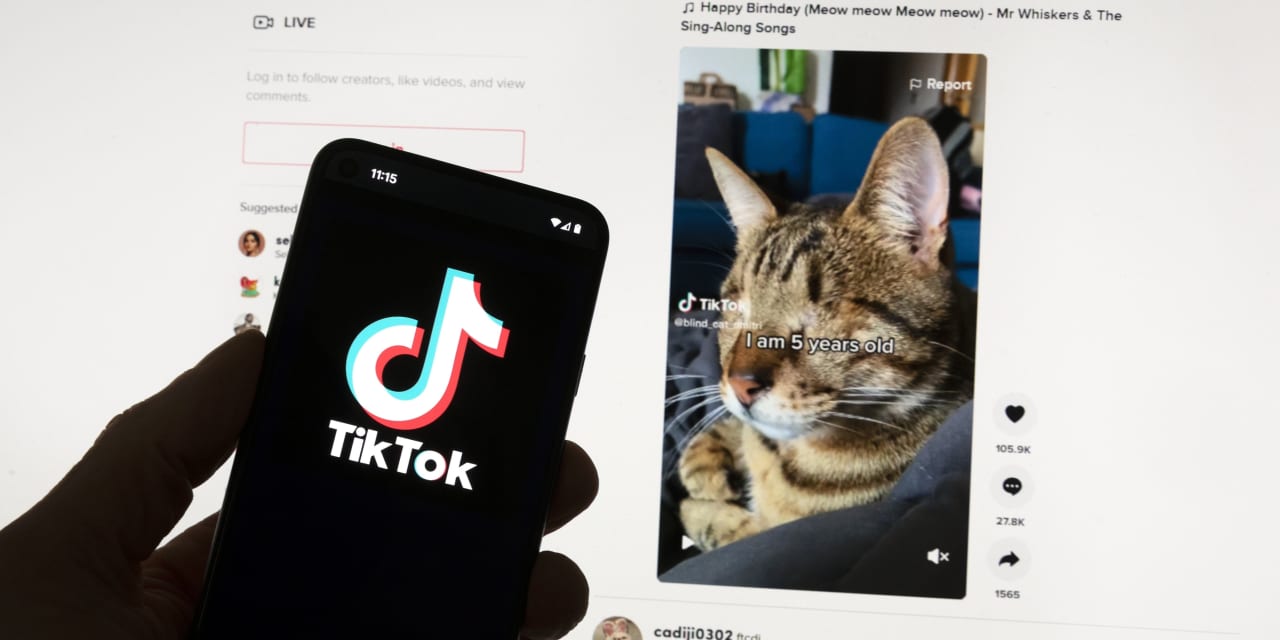 European regulators fine TikTok over children's privacy - Vimarsana News