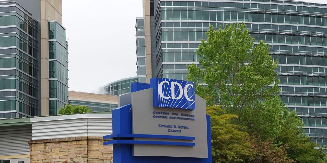 New coronavirus variant has experts on alert and WHO is urging countries to step up COVID surveillance  MarketWatch