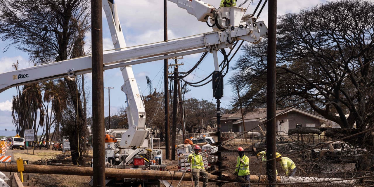 Hawaiian Electric's stock rockets after update on cause of Lahaina fires - Vimarsana News