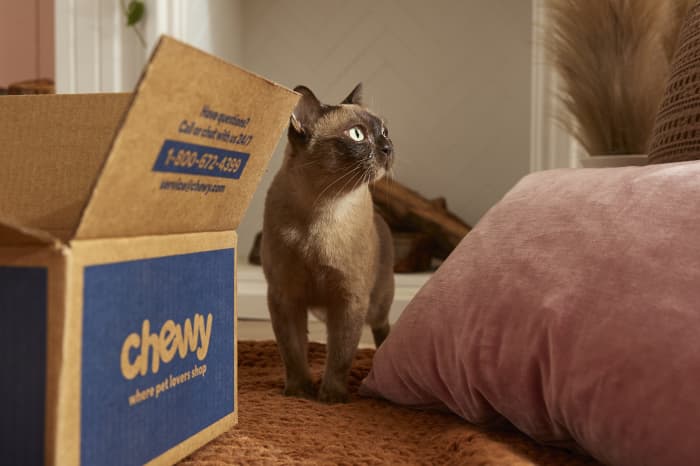 Chewy cat hot sale supplies