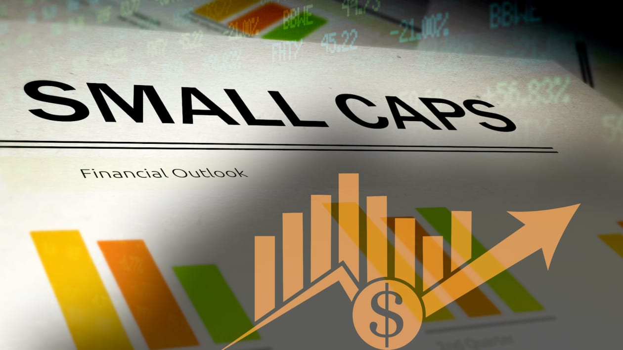 Small cap stocks are down but not out as July s rotation rally fizzles MarketWatch
