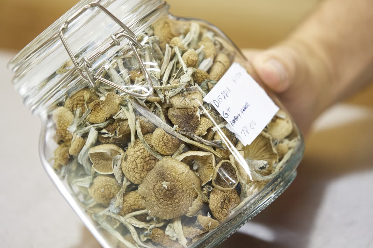 Thousands Sign Up To Experience Magic Mushrooms As Oregon's Novel ...