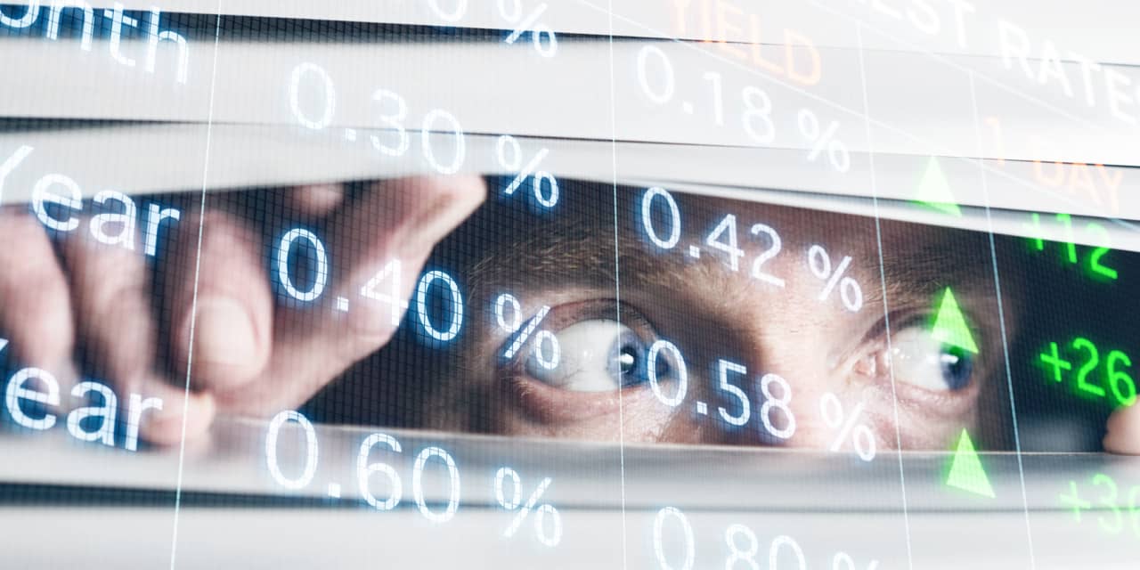 How to protect your portfolio if you expect the 10-year U.S. Treasury yield to jump to 6% - Vimarsana News