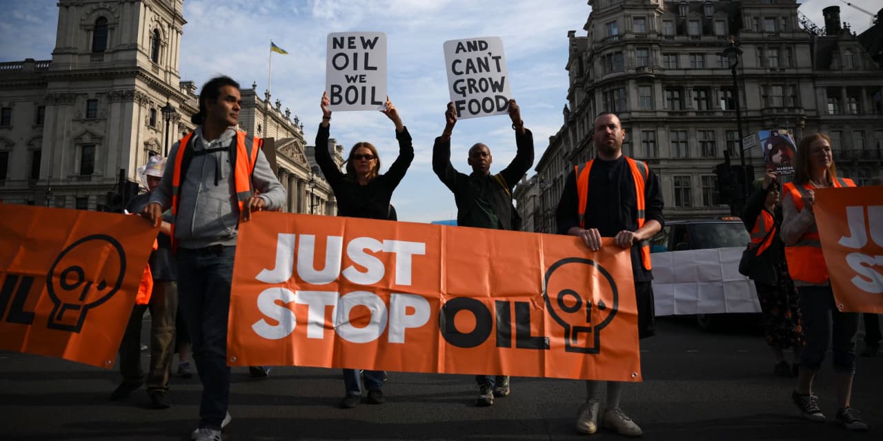 Opinion: The new obstacle to climate innovation: activists - Vimarsana News