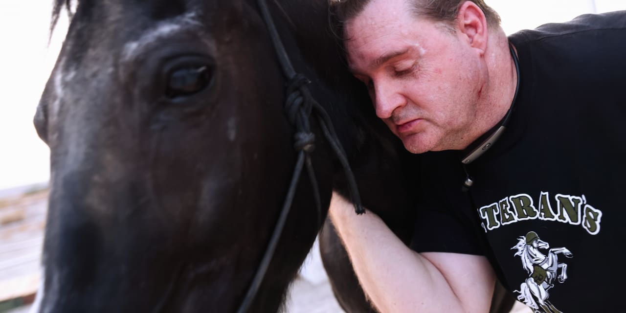 Bionomics’ stock rallies 103% after company reports positive results in trial of PTSD treatment