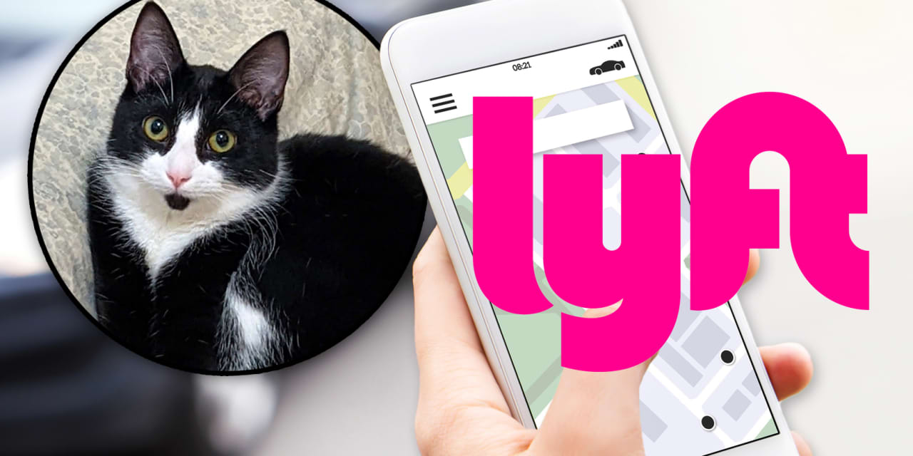 Lyft CEO apologizes for ‘awful’ response to a Texas rider’s missing cat